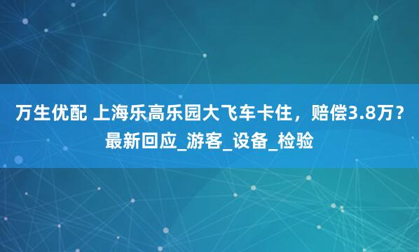 万生优配 上海乐高乐园大飞车卡住，赔偿3.8万？最新回应_游客_设备_检验